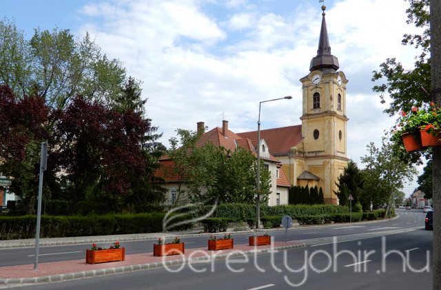 Virágos Berettyóújfalu 04